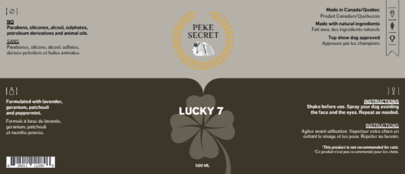 Lucky 7